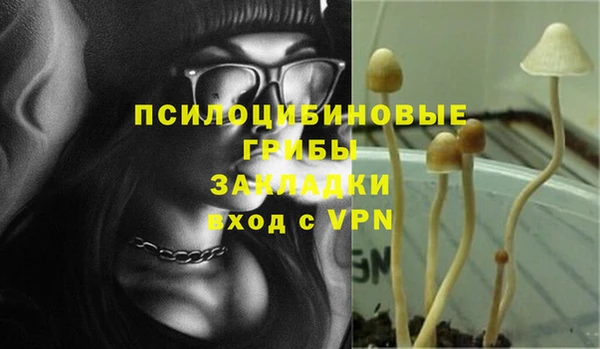 ПСИЛОЦИБИНОВЫЕ ГРИБЫ Гусев