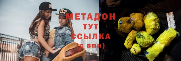 шишки Гусиноозёрск