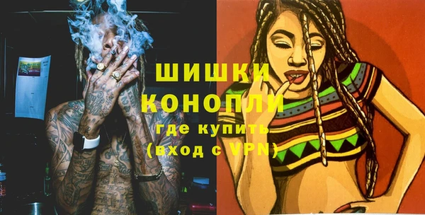 шишки Гусиноозёрск