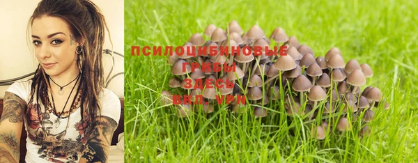 ALPHA-PVP Горнозаводск