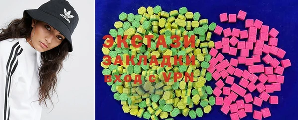 шишки Гусиноозёрск