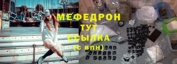 шишки Гусиноозёрск