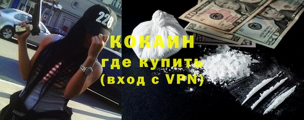 шишки Гусиноозёрск