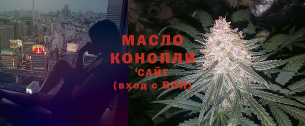 ПСИЛОЦИБИНОВЫЕ ГРИБЫ Гусев
