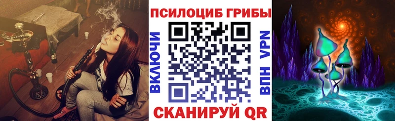 Купить закладки  Каргополь  Псилоцибиновые грибы мухоморы 