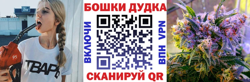 Бошки марихуана Ganja  Купить закладки  Каргополь 